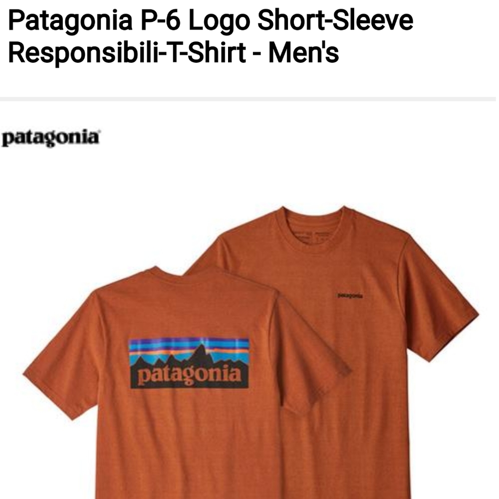 New without tags Patagonia Tee
